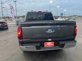 Used 2024 Ford F150 XLT w/ Equipment Group 302A MID image 4