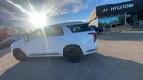 New 2025 Hyundai Palisade Calligraphy image 5