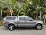 Used 2013 Ford F150 XLT w/ XLT Chrome Pkg image 6