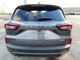 New 2025 Ford Escape ST-Line w/ Tech Pack #1 image 3
