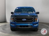 Used 2023 Ford F150 XLT w/ Equipment Group 302A High image 2