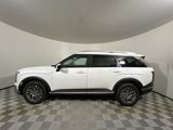 New 2026 Hyundai Palisade SEL image 4