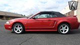 Used 2001 Ford Mustang Cobra image 2