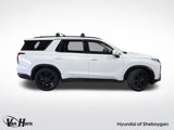 New 2025 Hyundai Palisade XRT image 2