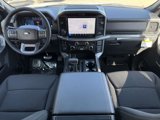 New 2025 Ford F150 XLT image 2
