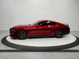 Used 2019 Ford Mustang Coupe w/ Equipment Group 101A image 5