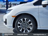 New 2025 Honda Odyssey Elite image 5