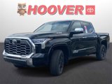 New 2025 Toyota Tundra 1794 Edition image 6