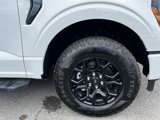 New 2025 Ford F150 XLT w/ Equipment Group 302A MID image 3