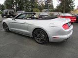 Used 2019 Ford Mustang GT Premium w/ Equipment Group 401A image 6