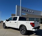 New 2025 Ford F150 STX w/ Equipment Group 200A image 3