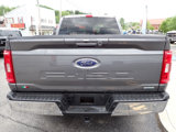 Certified 2022 Ford F150 XLT w/ Equipment Group 302A High image 4