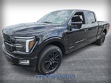 New 2025 Ford F150 Platinum image 3