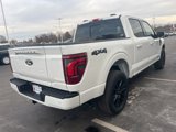New 2025 Ford F150 Platinum image 5