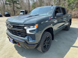 New 2025 Chevrolet Silverado 1500 LT Trail Boss w/ Protection Package image 2