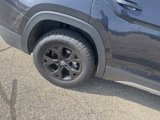 Used 2024 Volkswagen Atlas Peak Edition SEL image 4