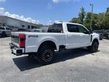 New 2025 Ford F250 Platinum image 4