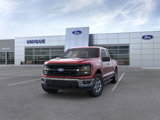 New 2025 Ford F150 XLT image 2