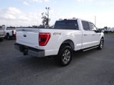 Used 2022 Ford F150 XLT w/ Equipment Group 302A High image 2