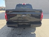 Used 2024 Ford F150 Platinum image 4