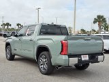 New 2025 Toyota Tundra 1794 Edition image 4