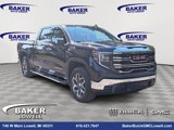 New 2025 GMC Sierra 1500 SLT w/ SLT Premium Plus Package image 3