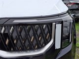 New 2026 Kia Carnival image 4