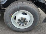 New 2025 Ford E-350 and Econoline 350 Super Duty w/ Driver's Safety Package image 4