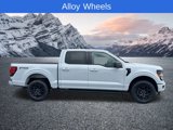New 2025 Ford F150 XLT image 2