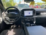New 2025 Ford F150 XLT w/ Equipment Group 302A MID image 5