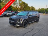 New 2026 Kia Carnival SX Prestige image 3