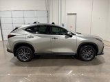 Used 2025 Lexus NX 350h AWD w/ Premium Package image 4