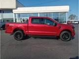 New 2025 Ford F150 XLT w/ Equipment Group 302A MID image 2