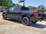 New 2025 Ford F150 STX w/ STX Black Appearance Package image 3