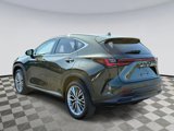 Used 2025 Lexus NX 350 AWD w/ Premium Package image 4