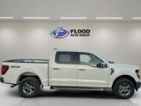 New 2025 Ford F150 XLT image 5