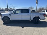 New 2025 Ford F150 XLT w/ Equipment Group 302A MID image 2