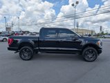 Used 2023 Ford F150 XLT w/ Equipment Group 302A High image 3