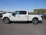 New 2024 Ford F150 XLT w/ Equipment Group 303A High image 2