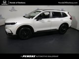 View Video