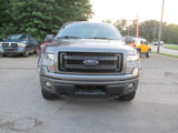 Used 2014 Ford F150 STX w/ Equipment Group 201A Mid image 3