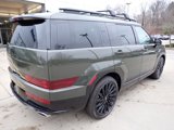 New 2025 Hyundai Santa Fe Calligraphy image 2