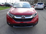 Used 2019 Honda CR-V EX image 3