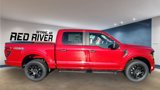 New 2025 Ford F150 STX w/ STX Black Appearance Package image 6