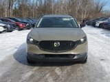 New 2025 MAZDA CX-30 Carbon image 2