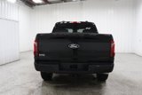 New 2025 Ford F150 XLT w/ Equipment Group 301A Standard image 5