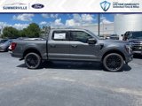 New 2025 Ford F150 Platinum w/ Equipment Group 702A High image 2