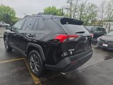 Certified 2024 Toyota RAV4 XLE Premium image 5