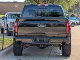 New 2025 Ford F150 XLT w/ Equipment Group 303A High image 6