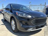 Used 2020 Ford Escape SE image 3